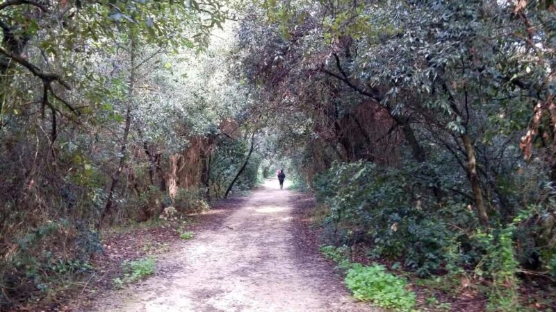 Palermo: Day trip to Monte Pellegrino - An In-Depth Look at the Monte Pellegrino Tour