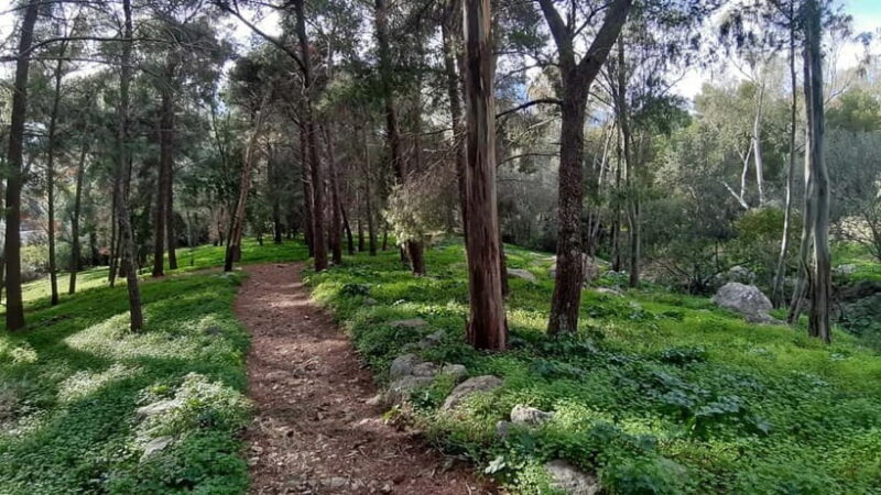 Palermo: Day trip to Monte Pellegrino - The Sum Up