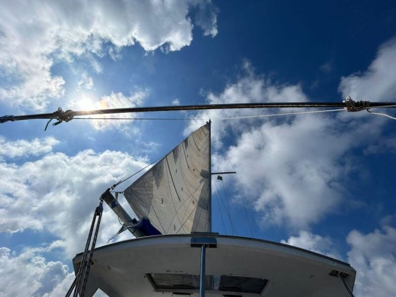 Palermo: Full-Day Snorkeling Boat Tour with Lunch and Wine - Why This Tour Is a Great Value