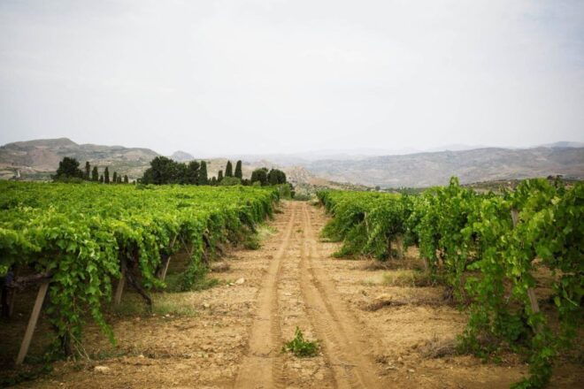 Palermo: Photographic Walk and Wine Tasting - Booking Information