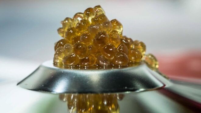 Palermo: Scents of Sicily, Molecular Cuisine - Frequently Asked Questions