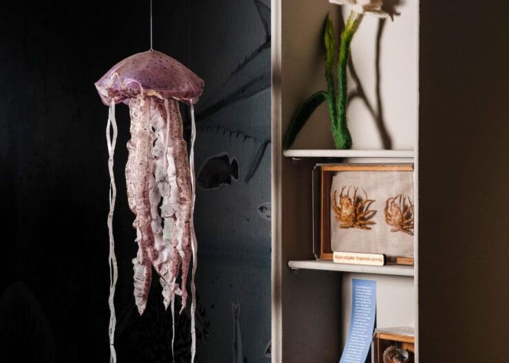 Palermo: Sensorial Experience of Nature and Ecology - Booking Details
