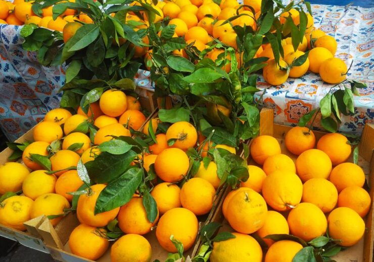 Palermo: Street Food, Market, and City Center Walking Tour - Street Food Tasting