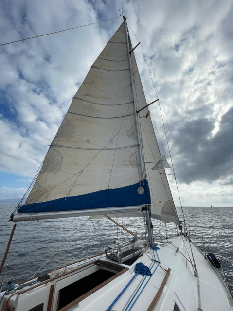 Palermo: the City From the Sea - Customer Experiences: What Others Are Saying