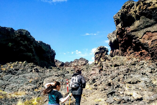 Pali Aike Full-Day Adventure From Punta Arenas - Itinerary Overview