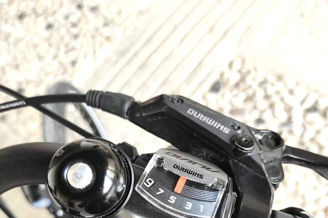 Palladian E-Bike Rental in & Around Vicenza - Pricing and Booking Details