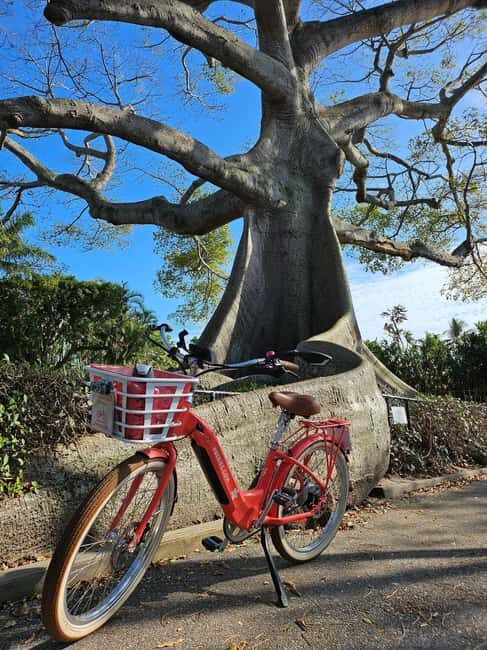 Palm Beach: 3 hr Guided Electric Bike Tour - FAQ
