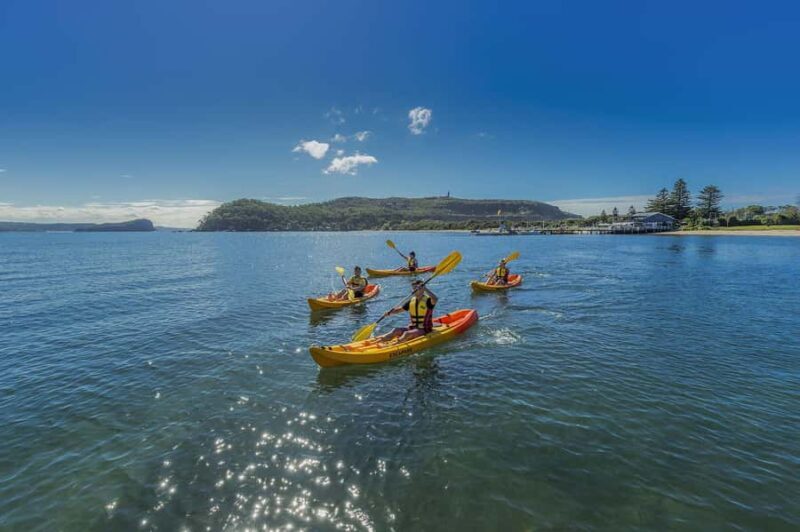 Palm Beach Harbour Hopper 24-hour or 48-hour Cruise Pass - An In-Depth Look at the Experience