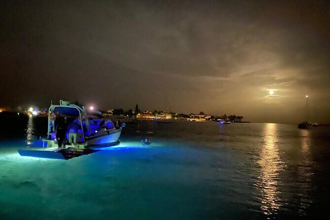 Palm Beach Luxury Day Boat Cruises - The Sum Up