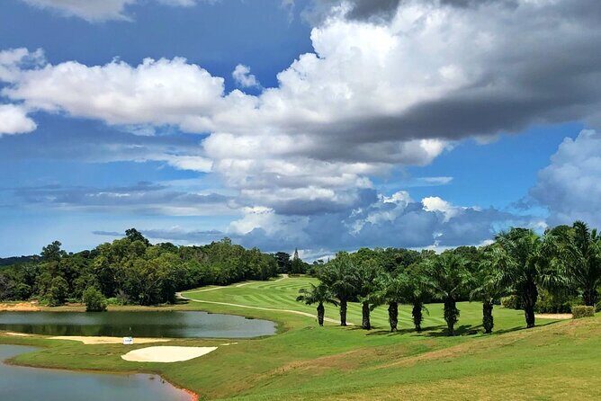 Palm Spring Golf Batam - Private Day Trip - Who Is This Tour Best For?