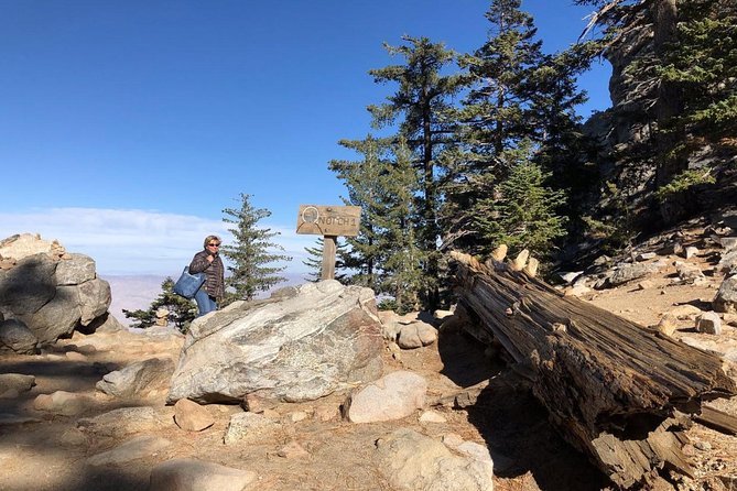 Palm Springs Aerial Tramway Admission Ticket - Mountain Station and Facilities