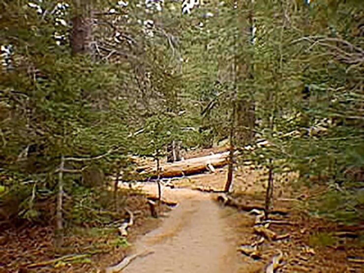 Palm Springs Aerial Tramway - Booking Details