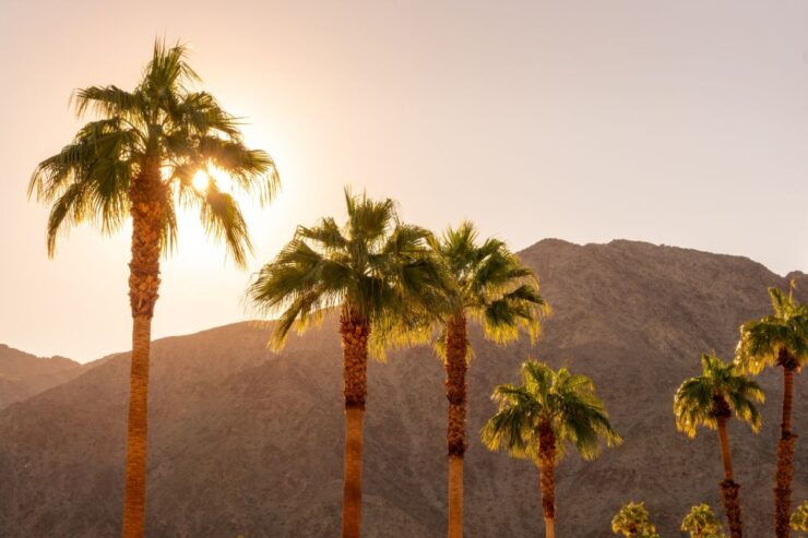 Palm Springs: City and Desert App-Guided Driving Tour - Tour Overview