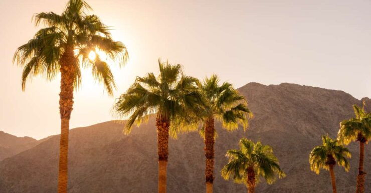 Palm Springs: City and Desert App-Guided Driving Tour - Booking Details