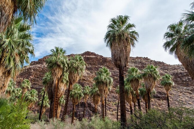 Palm Springs Desert Oasis Hike in Indian Canyons - Essential Packing List