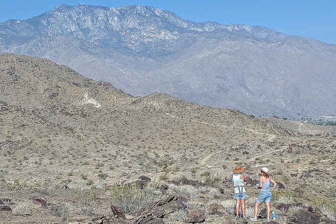 Palm Springs Hike to an Oasis and Amazing Desert Views - Overview and Details
