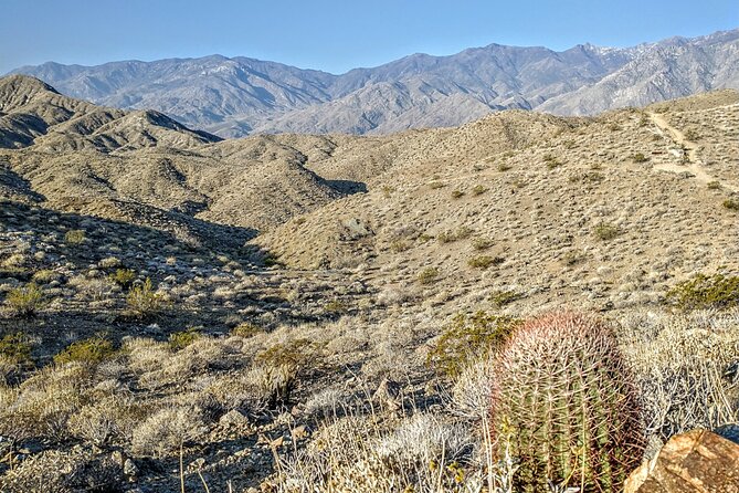 Palm Springs Hike to an Oasis and Amazing Desert Views - Additional Information and Requirements