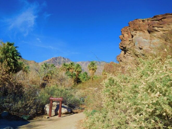 Palm Springs: Indian Canyons Hiking Tour by Jeep - Departure Information