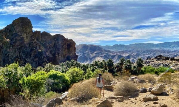 Palm Springs: Indian Canyons Hiking Tour by Jeep - Common Questions