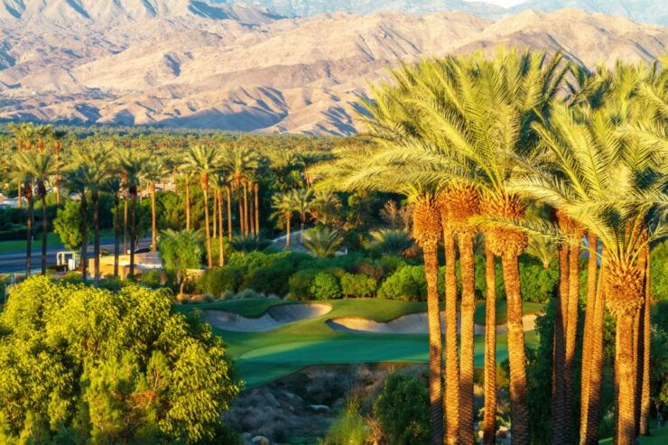 Palm Springs & Joshua Tree: National Park Self-Guided Tours - Tour Booking Details