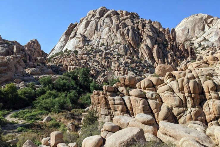 Palm Springs & Joshua Tree: National Park Self-Guided Tours - Experience Highlights