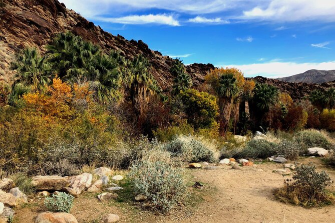 Palm Springs Self-Guided Driving Audio Tour - Tour Details and Features