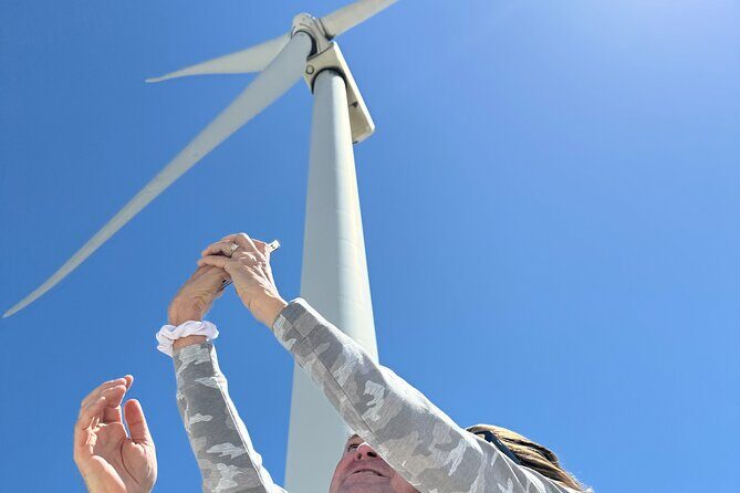 Palm Springs Windmill Guided Tour by Golf Cart - The Learning Journey: Past, Present, and Future