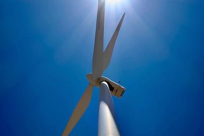 Palm Springs Windmill Tours - Customer Reviews and Feedback From Host