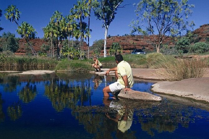 Palm Valley 4WD Day Tour - Nature Walk Around Cycad Gorge