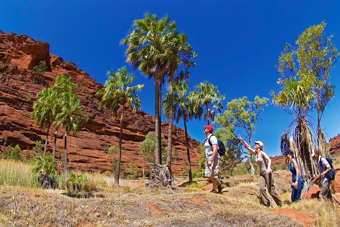 Palm Valley 4WD Tour From Alice Springs - Overview and Tour Details