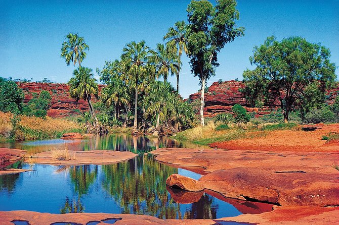 Palm Valley 4WD Tour From Alice Springs - Practical Information and Booking Details