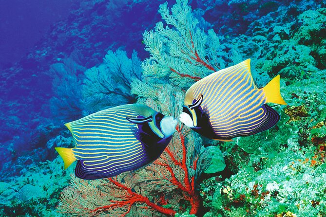 Palma Acquarium With Transfer - Additional Info