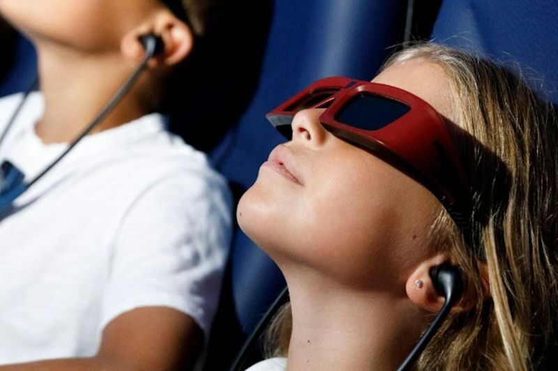 Palma Aquarium ticket in Mallorca - The shark tank and feeding schedule