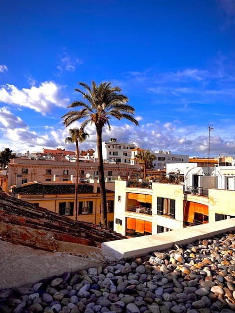 Palma Authentically. City Tour Away From Mass Tourism - Experience Highlights