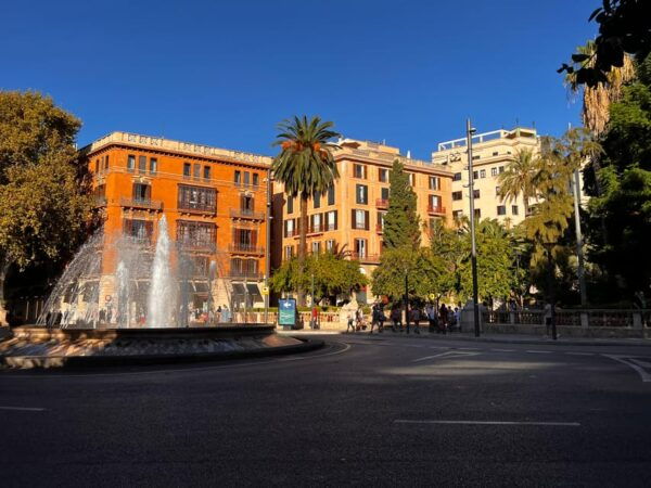 Palma Authentically. City Tour Away From Mass Tourism - Immerse in Local Culture