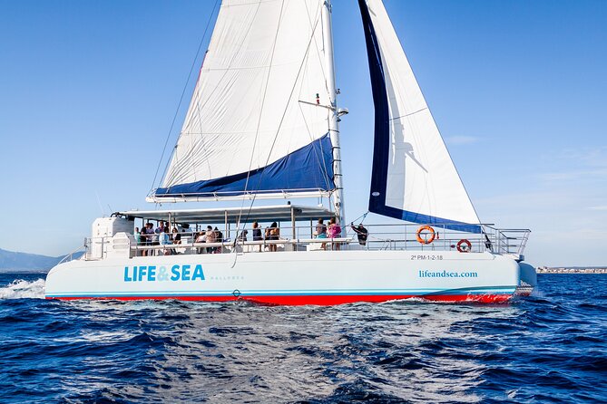 Palma Bay Catamaran Cruise - Pricing and Value