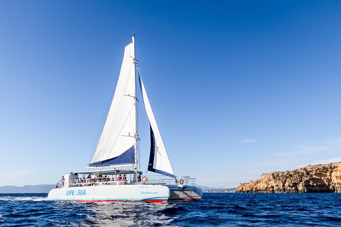 Palma Bay Catamaran Cruise - Booking Process