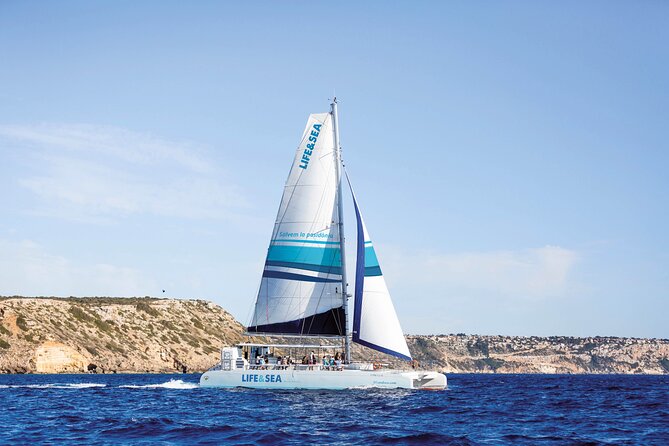 Palma Bay Catamaran Cruise - Safety Measures