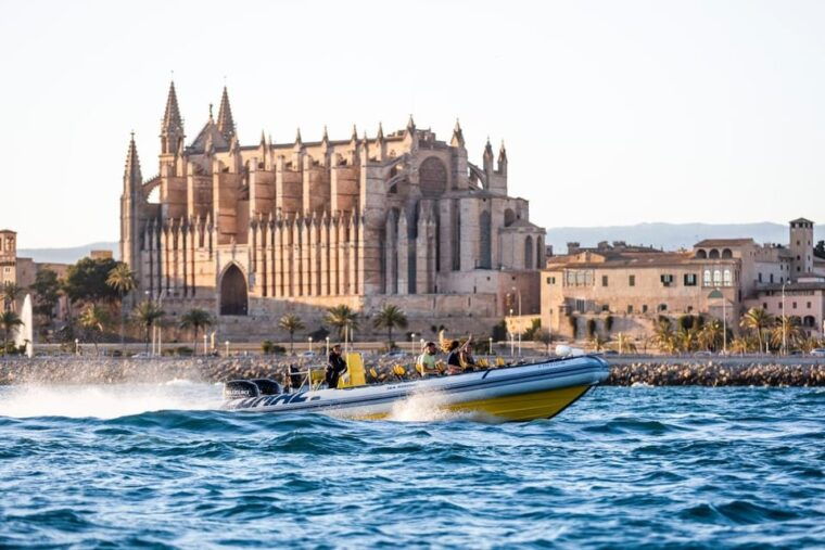 Palma Bay: Speedboat Discovery Tour - Discovering Palma Bay