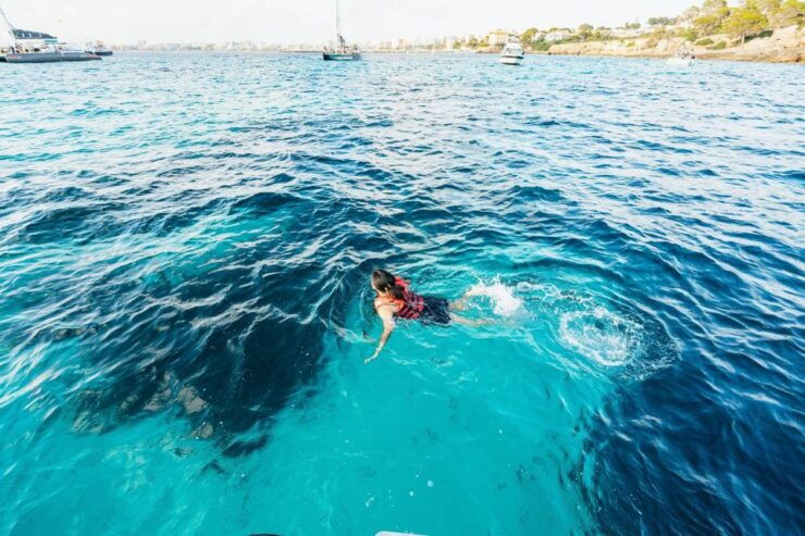 Palma Bay: Speedboat Discovery Tour - Tour Highlights