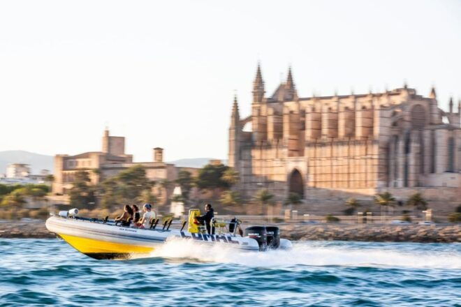 Palma Bay: Speedboat Discovery Tour - Driver Languages