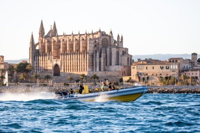 Palma Bay: Speedboat Discovery Tour - Inclusions and Restrictions