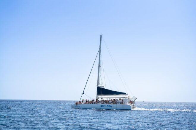 Palma: Catamaran Cruise With Swimming and Snorkelling - Full Description