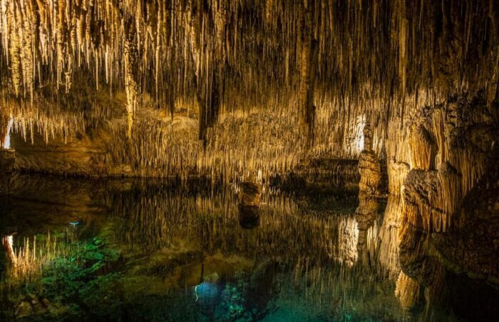 Palma: Caves of Drach Entrance, Music Concert, and Boat Trip - Gliding on Lake Martel