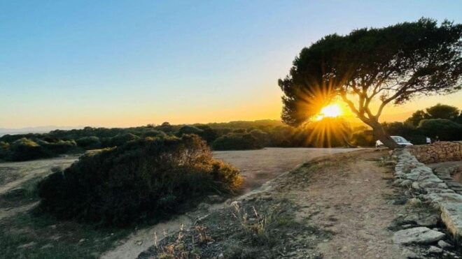 Palma: Couple Adventure, Fun Game and City Walk - Important Information