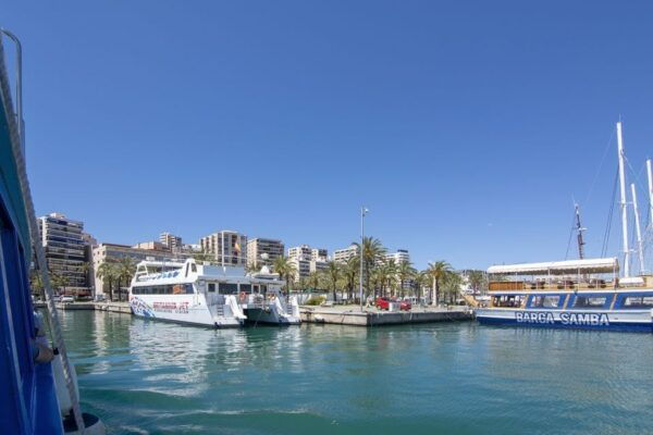 Palma De Mallorca: 1-Hour Sightseeing Boat Tour - Frequently Asked Questions