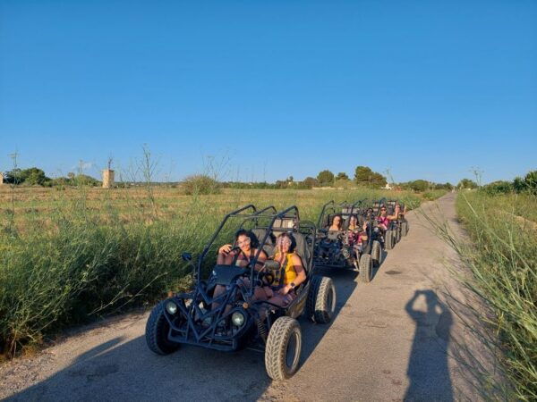 Palma De Mallorca: 2-Seater Buggy Adventure - Statistics