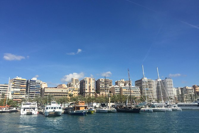 Palma De Mallorca Bay Boat Trip - Common Questions