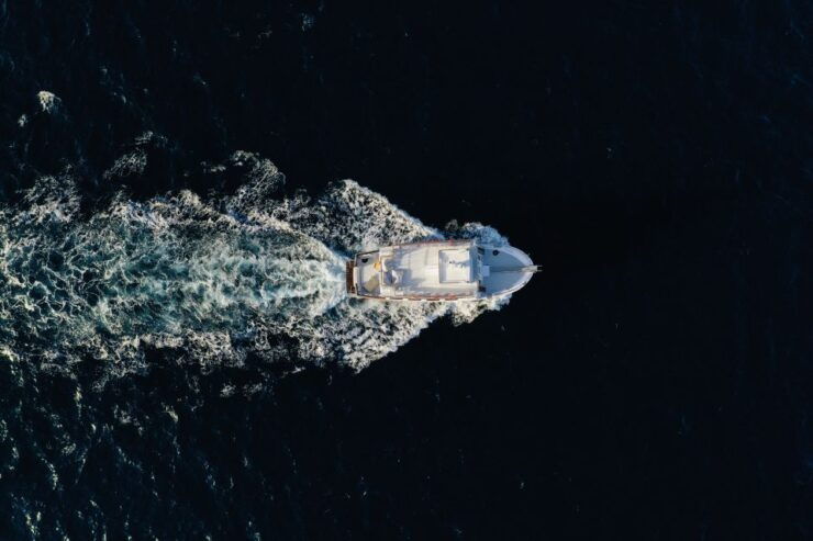 Palma De Mallorca: Bay of Palma Night Boat Cruise - Experience Highlights During the Cruise