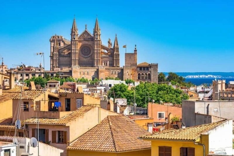 Palma de Mallorca : Best Street Food Tour With A Local Guide - An Authentic Taste of Palma: The Food Tour Experience